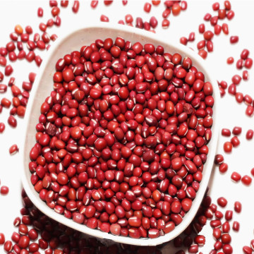 Export Top Quality Red Kidney Beans