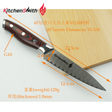 Damascus Blade Vegetable Fruit Knife G10 Handle