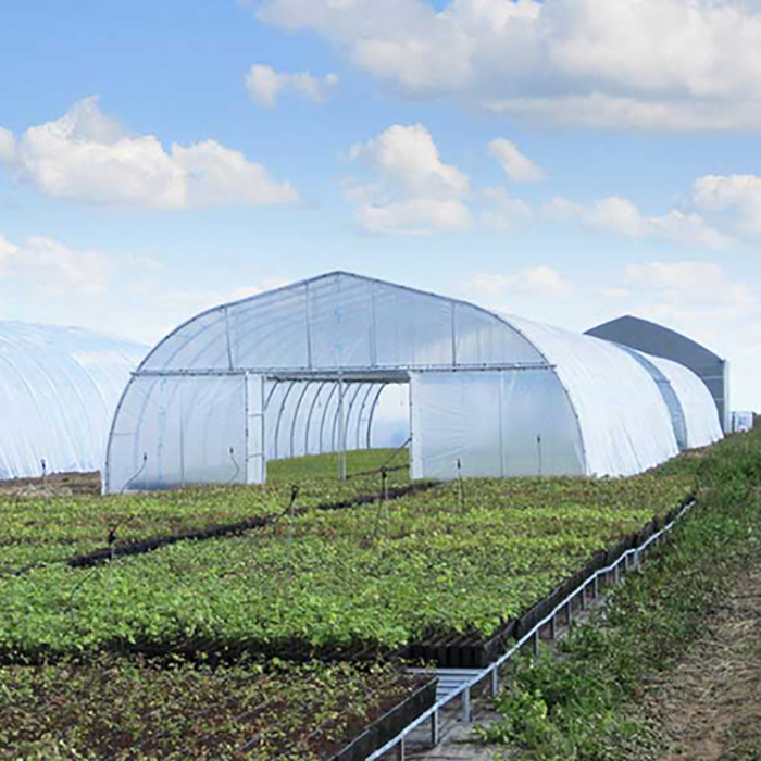 الزراعة نفق PE Polytunnel الاحتباس الحراري للبيع