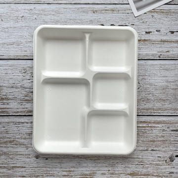 Disposable Bagasse Tableware Rectangle 5 Compartments Tray