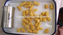 400g canned young corn spear/cut in brine
