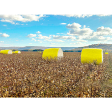 Plastic wrap used to wrap cotton