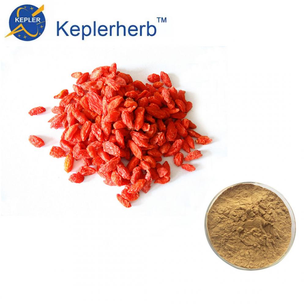 SC factory top quality 30% wolfberry extract powder