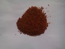 10g beef powder