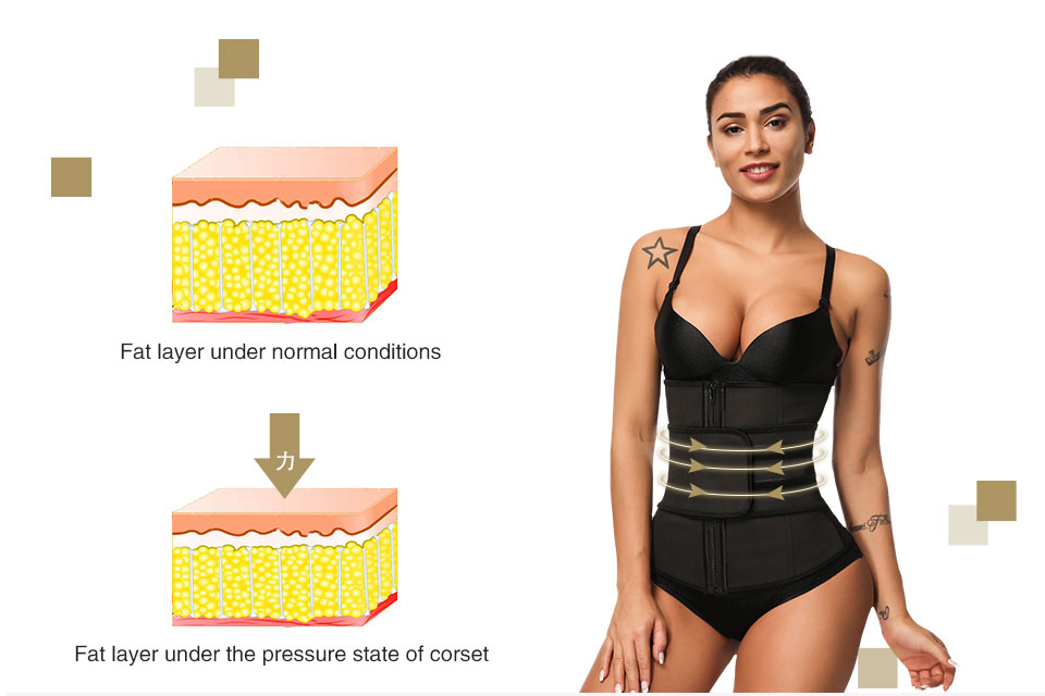 New Trend Waist Belt Waist Slim Trainer Corset Shapewear shaper