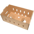 Sustainable Small Master Tray for Fresh Fruit Shipping