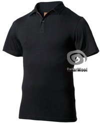 Men's Wool T-Shirt