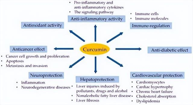 Best nutritional turmeric extract with Bioperine fudge