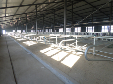 Cow/Bull Cubicle Housing