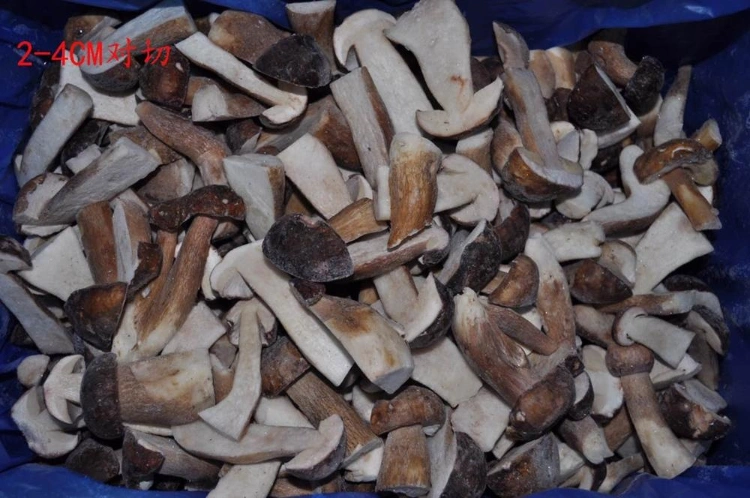 IQF Frozen Boletus Edulis Porcini Whole Cut Cubes From China