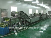 food processing machine/vegetable processing line/IQF/salad vegetable processing line