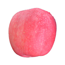 fuji apples Chinese Fuji apples red fuji apples