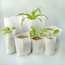 Fast Growing Biodegradable Seedling Bags for Plant Nurseries