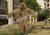 Sand Ghillie Suit/Tactical LightWeight Ghillie Suit/Sand Sniper Ghillie Suit