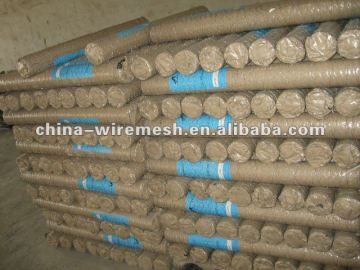 All kinds of specifications stainless steel welded mesh factory