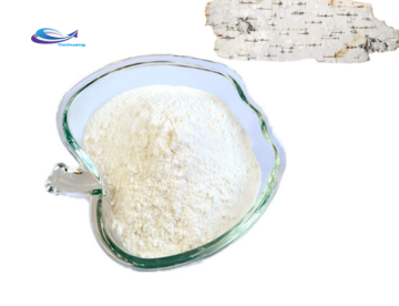 YXchuang Birch Bark Extract Betulinic Acid Betulin
