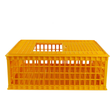 High-Quality Poultry Plastic Chicken Layer Cages and Transport Solutions