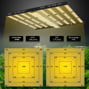 AGLEX 1000W Samsung LM281B Interior Crescer