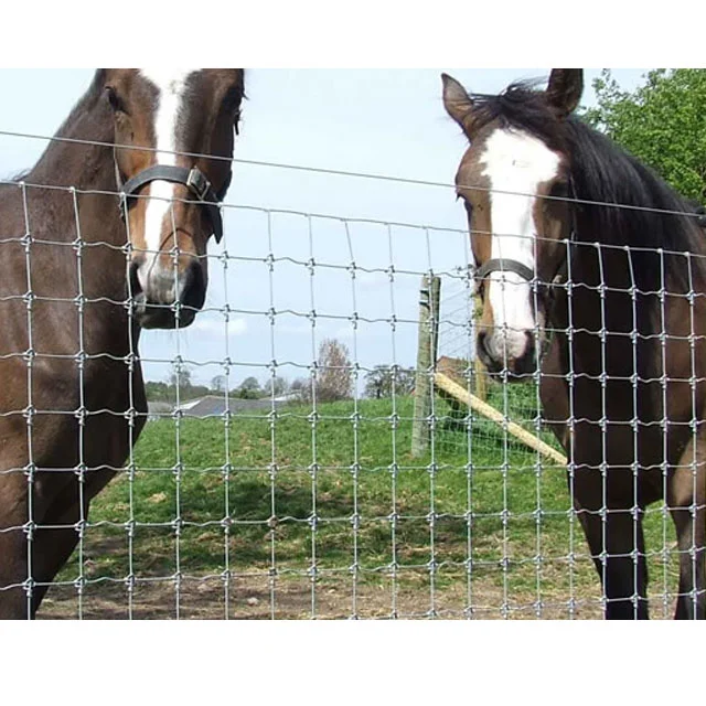 High Quality Rural Fence for Farm