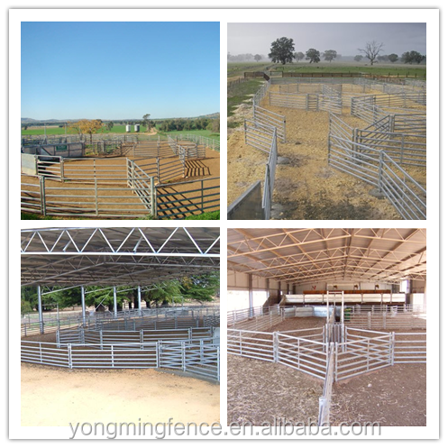 china factory galvanized metal livestock /sheep/cow farm panels