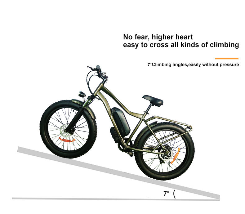 off road electric bicycle