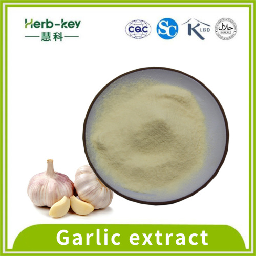 Anti-inflammatory action of garlic extract
