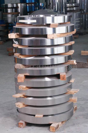 Bright Annealed Fecral Alloy Strip for Resistor