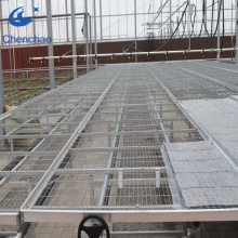 Welded Mesh Movable Seedbed Tables for Agricultural Greenhouses