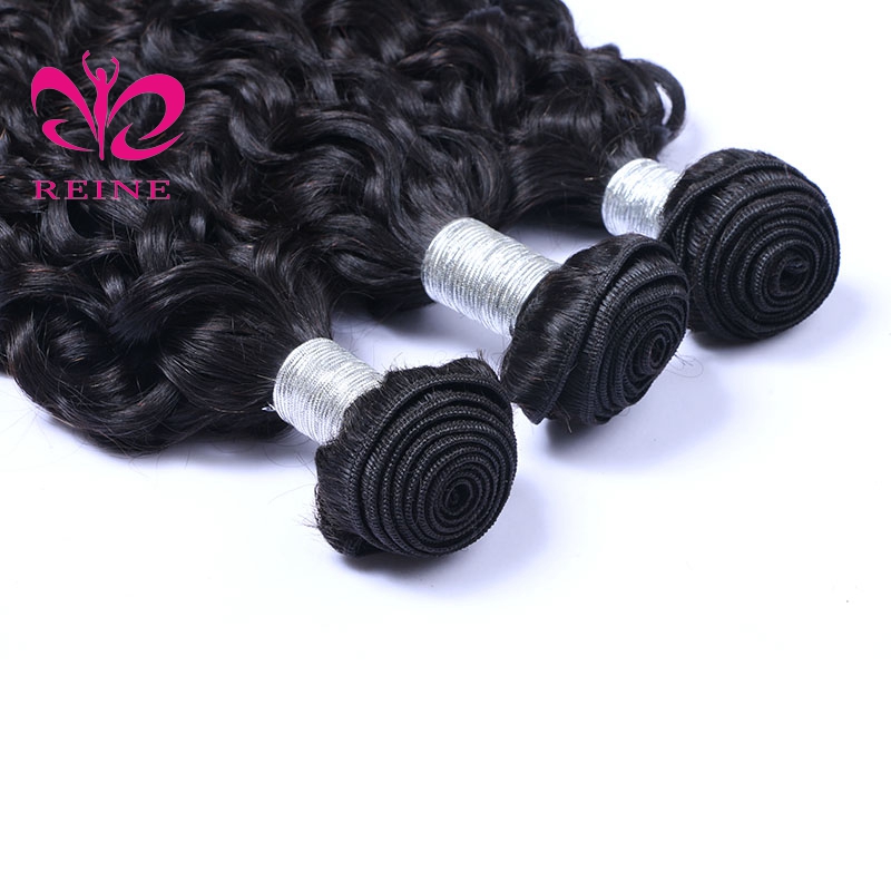 REINE Hair Water Wave Bundles With Closure Brazilian Hair Weave Bundles With Closure Remy Human Hair 3 Bundles With Closure