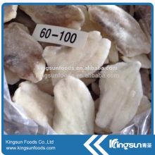 Top Quality Frozen John Dory Fillet