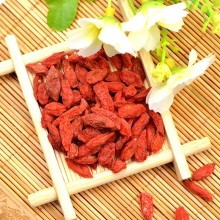 Mechanical Dried Goji Berry Conventional Goji Berry