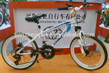 24 Inch Mountain Bike 21 Speed Bicycle Men Bike with Disc Brake