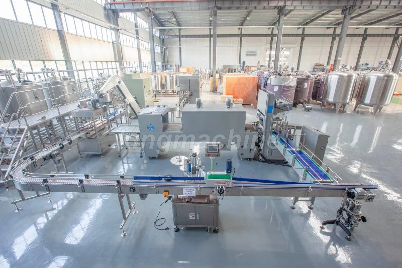 Automatic Piston Liquid Chemical Filling Machine Plant