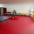 Tribunal de tenis de mesa de limpieza