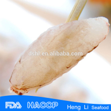 pasteurized crab meat ( jumbo )
