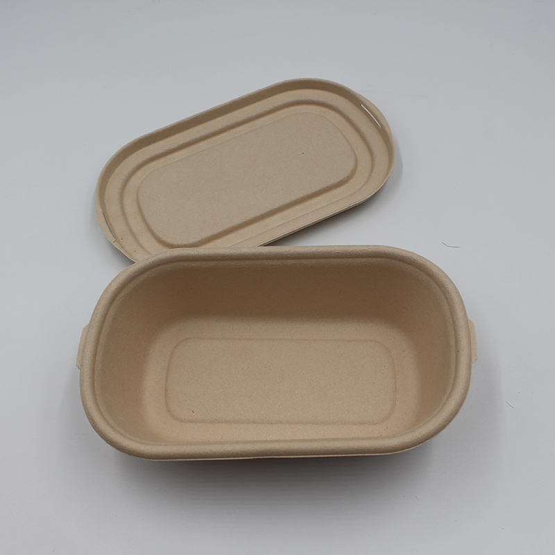 Biodegradable Disposable Bamboo Pulp Take Away Packing Box Food Packing Bowl