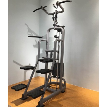 Professionele fitnessapparatuur Dip Chin Assist