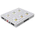 LED LED cresce luz para plantas médicas