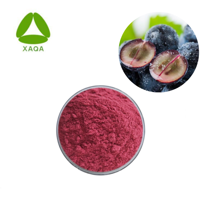 Cuidado de la piel Semillas de uva orgánica Extracto de polvo polifenol
