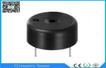High Performance DC Piezoelectric Buzzer 23mm for Alarm Sys