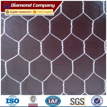 woven hexagonal wire mesh double twist