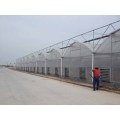 Serrated Multi-Span Plastic Film Greenhouse for Vegetables