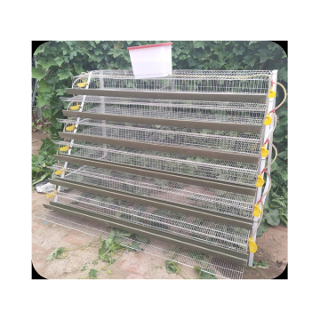 Poultry Layer Quail Cages and Equipment for 6 Birds Quail House Farm