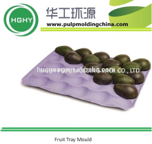 Fruit tray mold paper egg box mould aluminum pulp egg carton egg tray mould