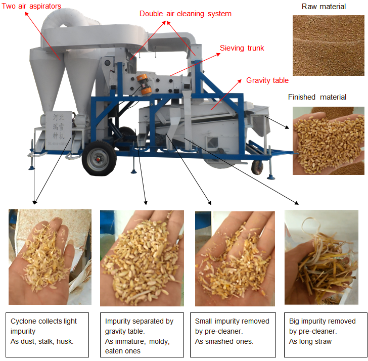 Mesin pembersih biji gabungan combined seed cleaning machine