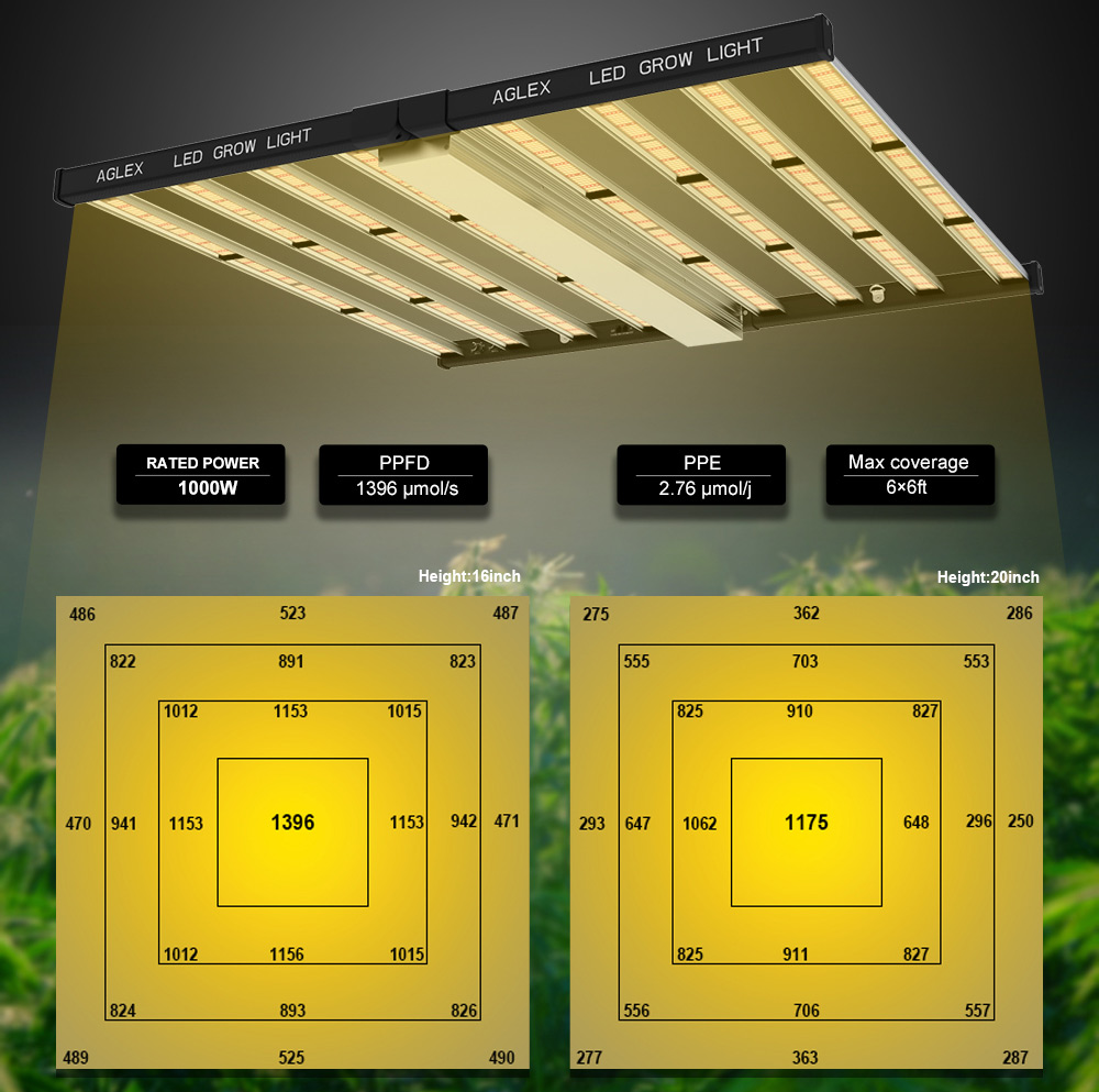 ราคาที่แข่งขัน 1000W เติบโตไฟสำหรับระบบไฮโดรโปนิกส์