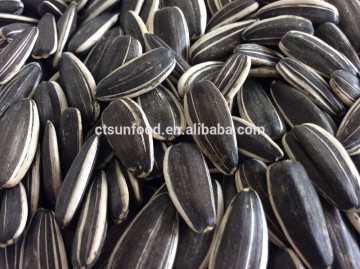 Chinese sunflower seeds, 5009 sunflower seeds