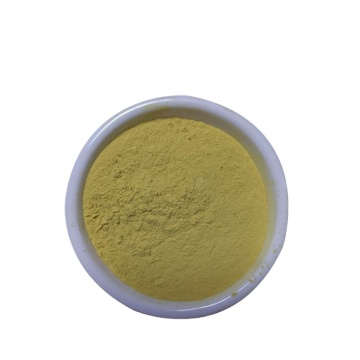 Hot selling Sea Buckthorn Natural Plant Extract Powder Vitamin C 15% Sea buckthorn plant extract vitamin C 15% Powder