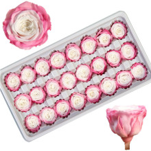 Wholesale High Quality Preserved Austin Rose Flower Heads - Bunny Floral