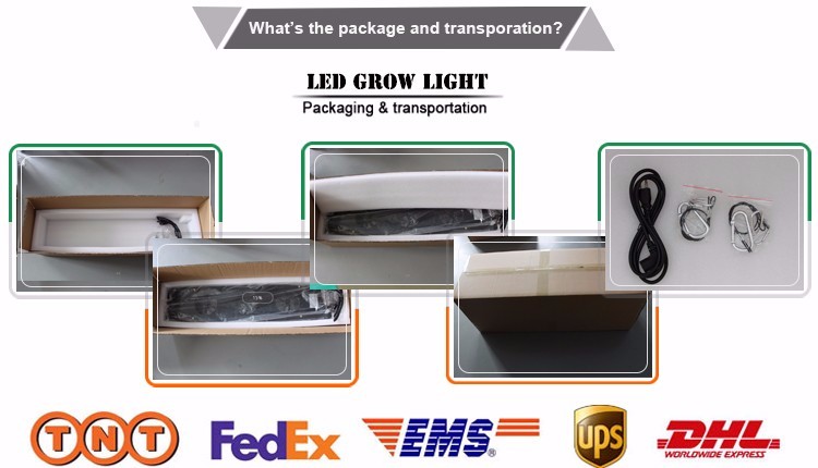 LED Grow light